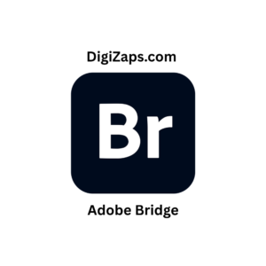 Adobe Bridge 2026